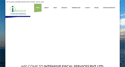 Desktop Screenshot of intensivefiscal.com